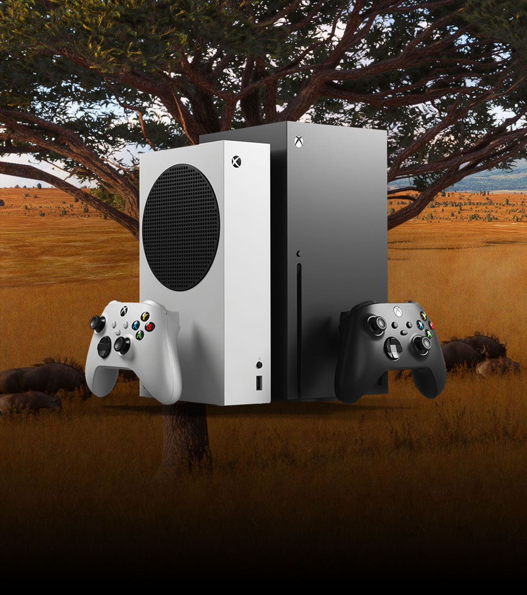 front view of 2 Xbox Series X|S console devices
